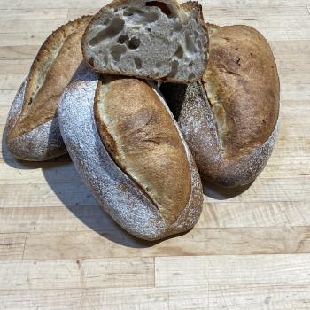 Olliedough Olliedough Loaf first overview