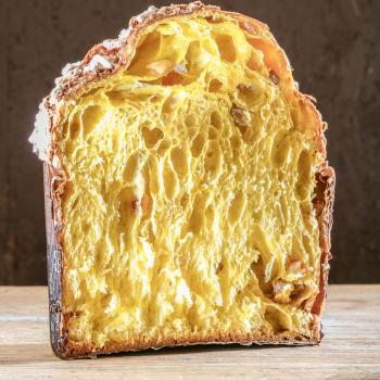 Pasta Madre Viva Panettone e Colomba first slice