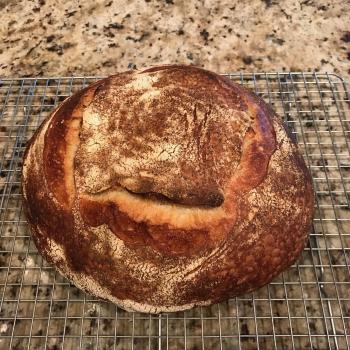 Paul's Starter Cottage Loaf first overview
