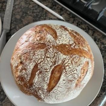 Pepitas  Sourdough  first overview