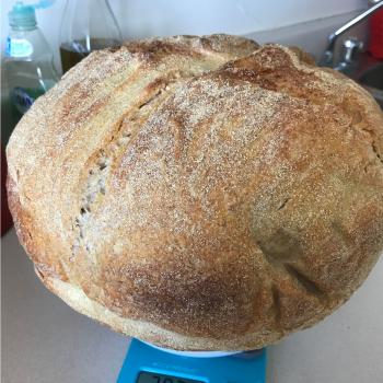 Petarsen  first slice