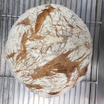 Petris Sourdough bread second overview