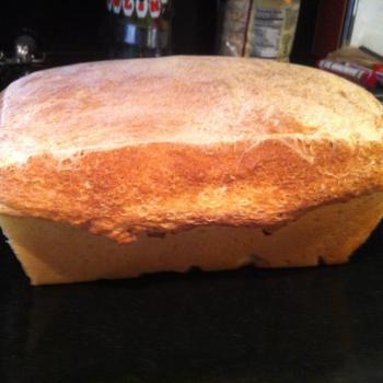 pineschi family starter white bread first overview