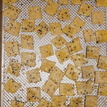 PixieDough Seeded Sourdough Discard Cracker Bites second slice