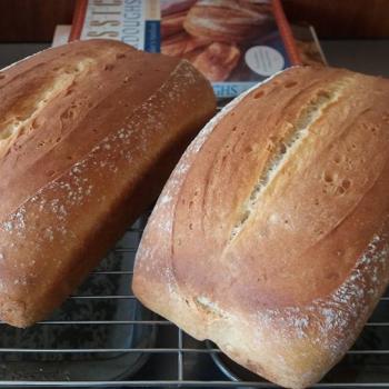 Plimmerton culture Potato bread first overview