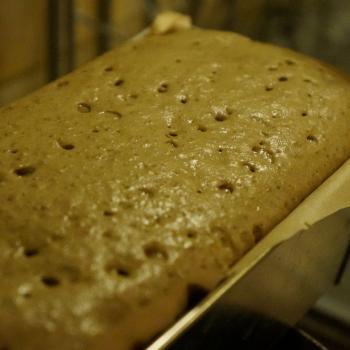 Progressive way 100% rye wholemeal by Piotr Polomski Different oldpolish rye breads first overview
