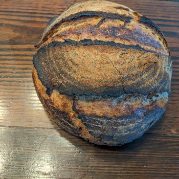 puffpuffpuff sourdough bread, brioche and waffles first overview