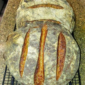 Rocky Mountain Miners Sourdough Starter Rocky Mountain Miners Sourdough first overview