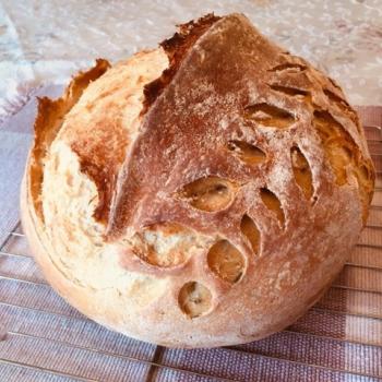 Sadie recipe