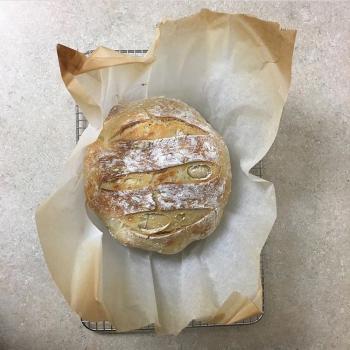 Sarah's Starter  recipe