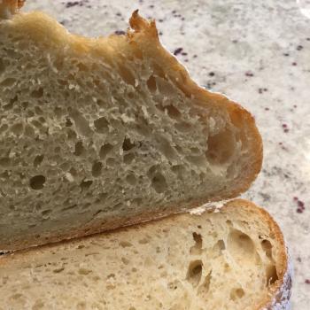 Sassy Cincy Cincinnati Sourdough Boules first slice