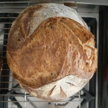 Sea side Bread first overview