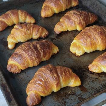 Sebastian Croissants first overview