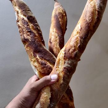 Shakal Sourdough Baguette first overview