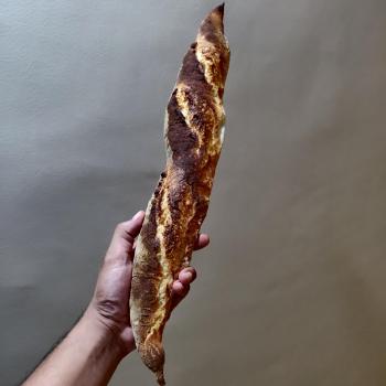Shakal Sourdough Baguette second overview
