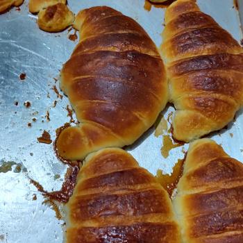Shakal Sourdough croissant first overview