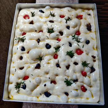 Shakal Sourdough Focaccia first overview