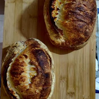 Shakal Sourdough Loaf Batard second overview