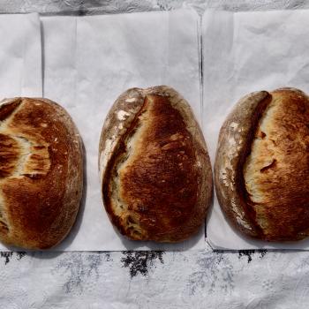 Shakal Sourdough Loaf Batard first slice