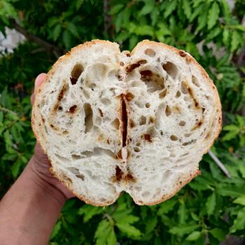 Shakal Sourdough Loaf Batard second slice