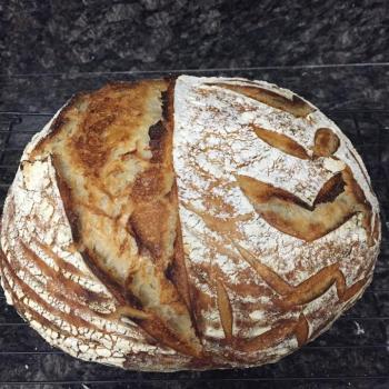 Sheldon Breads second overview