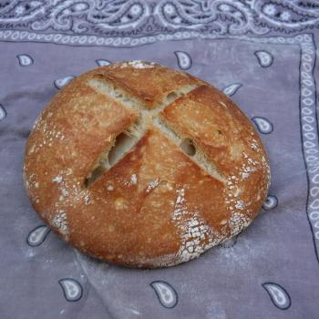 Sinchu Omar Starter Sourdough Boule second overview