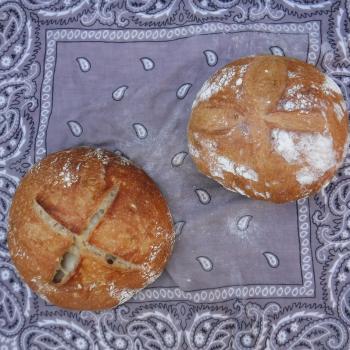 Sinchu Omar Starter Sourdough Boule first slice