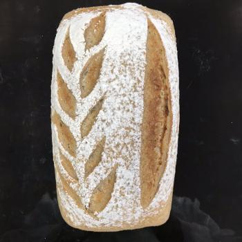 Sir Bedevere Country white first overview