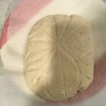 Sophia t65 sourdough bread first overview