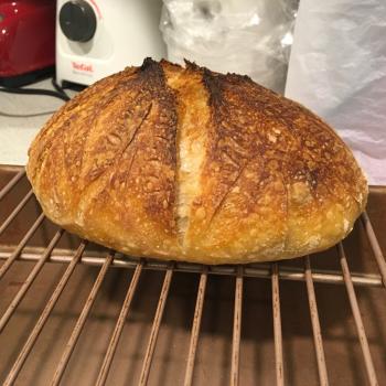 Sophia t65 sourdough bread second overview