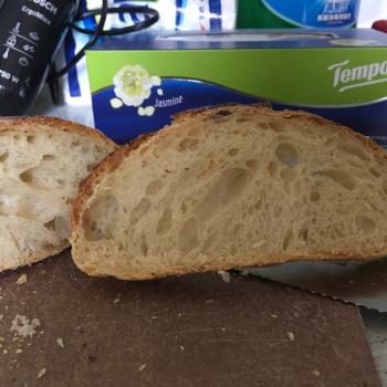 Sophia t65 sourdough bread second slice