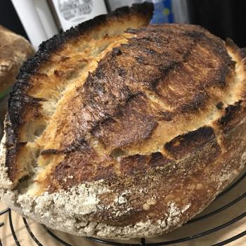 Souie JB2020 Pain de Campagne first overview