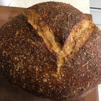 Sour McMurray Sourdough Breads first overview