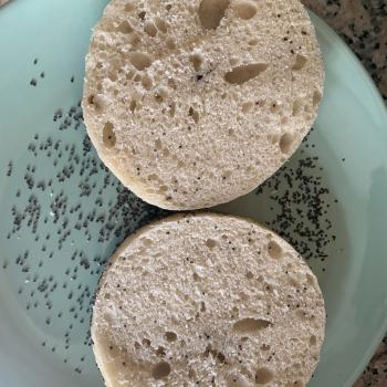 Sourpuss  Bagels second overview