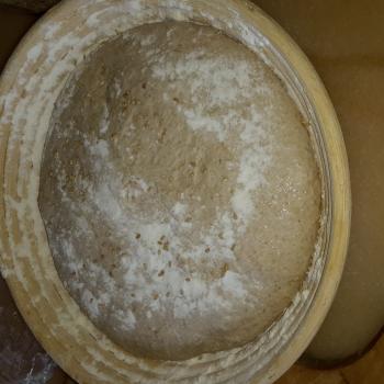 Spirito Mild Tartine Bread first overview
