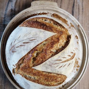 Srđan Bread first overview