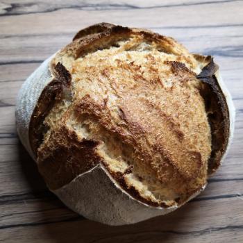 Srđan Bread second overview
