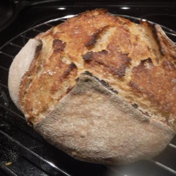 St John's Sourdough St John's Sourdough Bread first overview