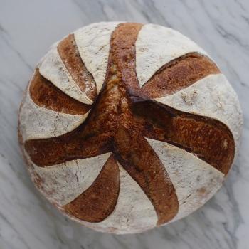 Stanton Starter Sourdough second overview