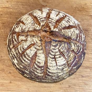 Starter 2020 Bread first overview