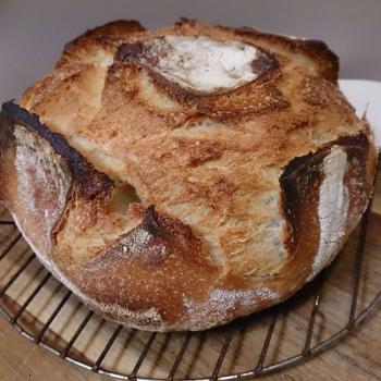 Steven Stoneyfield Sourdough first slice