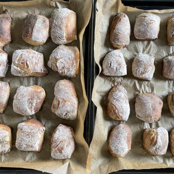 Stewart Rye levain rolls first overview
