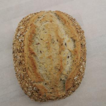 Suskewiet Multigrain first overview