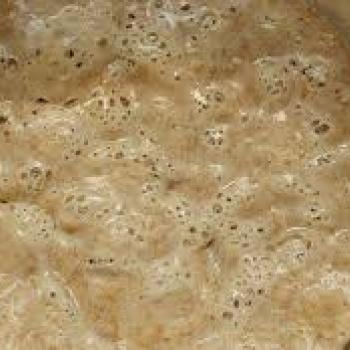 Tam buğday ekşimaya pizza second slice