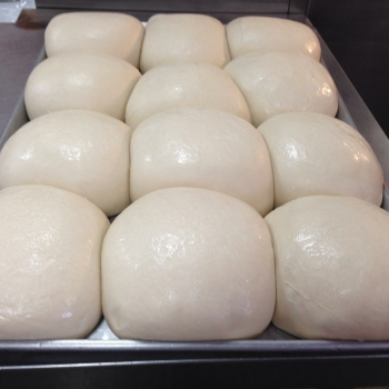 That's A Some Starter Sourdough Pizza!  second overview