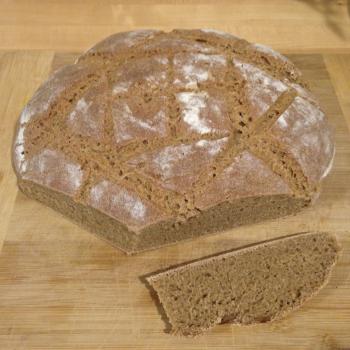 The Alchemist Miche first overview