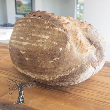 The Beast Sourdough Bread first overview