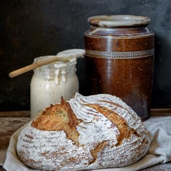 The Sourdough School  Breads second overview