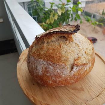 The Yeasty Boys Boule, pelmini, banana bread, dumplings second overview