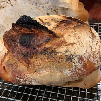 The Yeasty Boys  Sourdough loaf  first slice